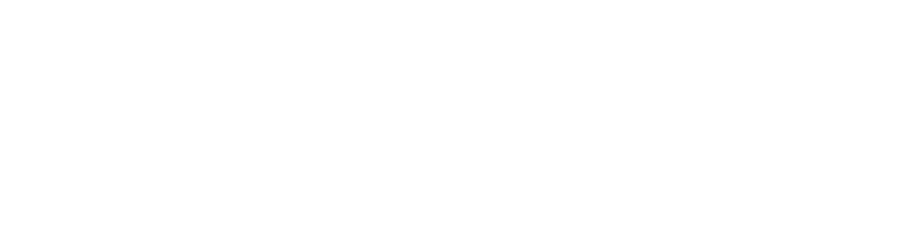Solid Fasad Logo Vit